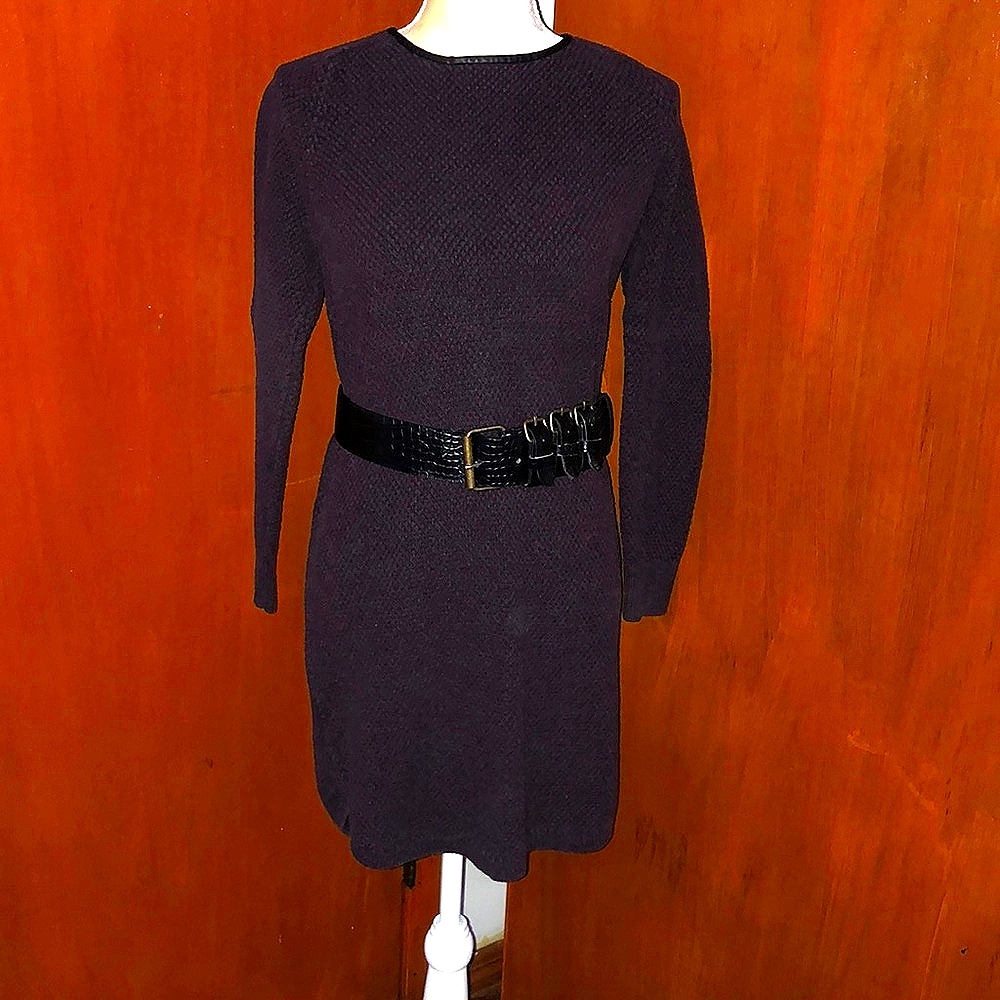 Ann Taylor Medium Plum Sweater Dress